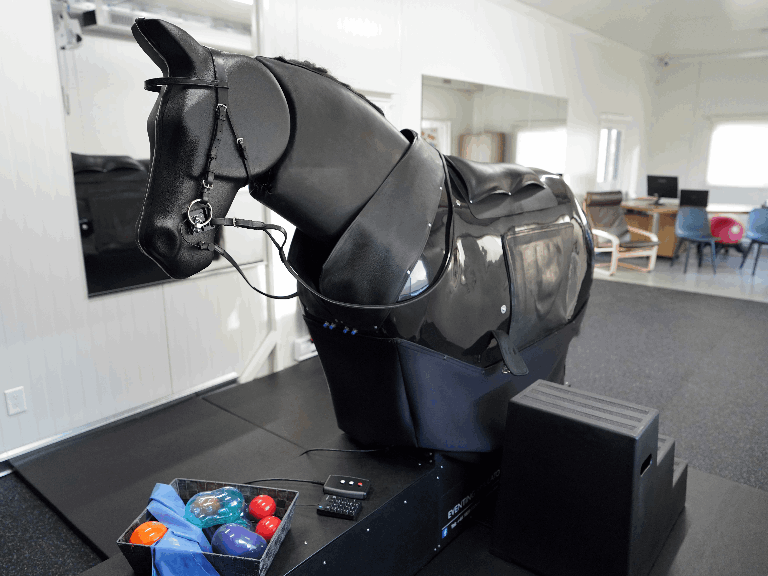 Expérience de simulateur équestre chez SimEquest | Illuminez vos sens ...