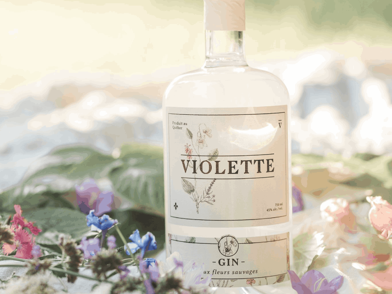 Bouteille Gin Violette Distillerie Mariana L'encan du Groupe