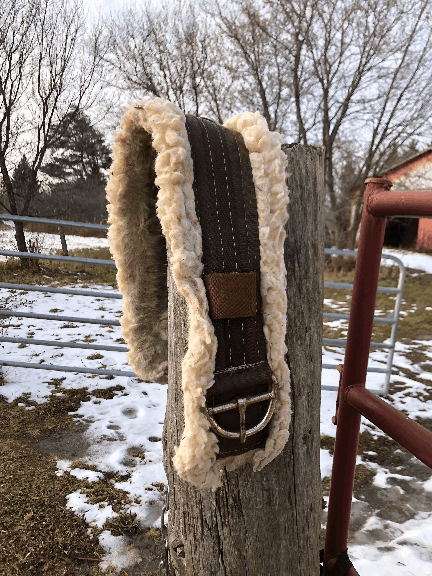 SELLE DE CIRCONFÉRENCE ARRIÈRE FLANC DOS DE CHEVAL EN CUIR